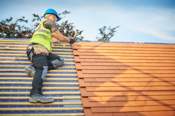 Best Skylight Installation and Repair  in Rancho Santa Fe, CA